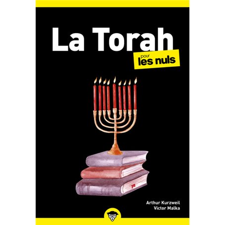 La Torah pour les Nuls, poche