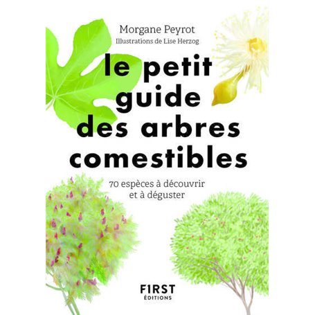 Petit guide des arbres comestibles