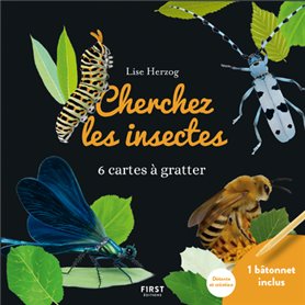 Cartes à gratter - Cherchez les insectes