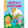 Mon gros livre de coloriage (Animaux musique)