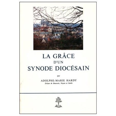 La grâce d'un synode diocésain