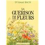 La guérison par les fleurs