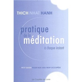 Pratique de la méditation à chaque instant