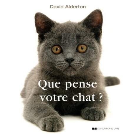 Que pense votre chat ?