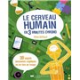 Le cerveau humain en 3 minutes chrono