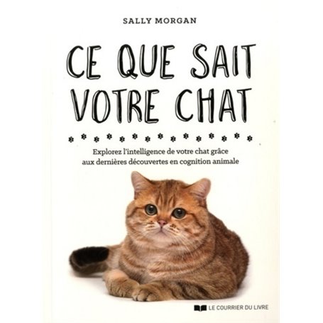 Ce que sait votre chat