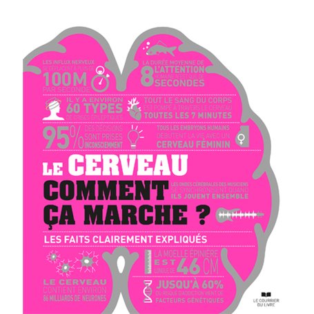 Le cerveau comment ça marche ? - Les faits clairements expliqués