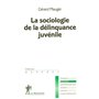 La sociologie de la délinquance juvénile