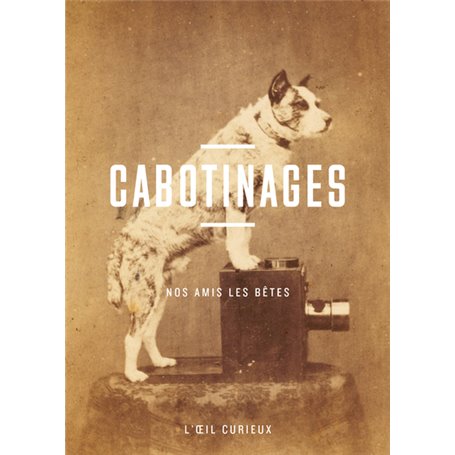 Cabotinages - Poses à poils - L'oeil curieux