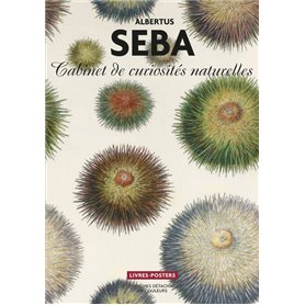 Albertus Seba - Cabinet de curiosité Livres posters - 22 planches détachables en couleurs