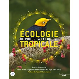 Ecologie tropicale - De l'ombre à la lumière