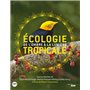 Ecologie tropicale - De l'ombre à la lumière