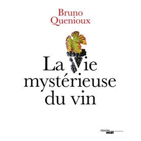 La vie mystérieuse du vin