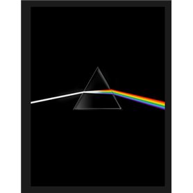 Pink Floyd their mortal remains Le livre officiel