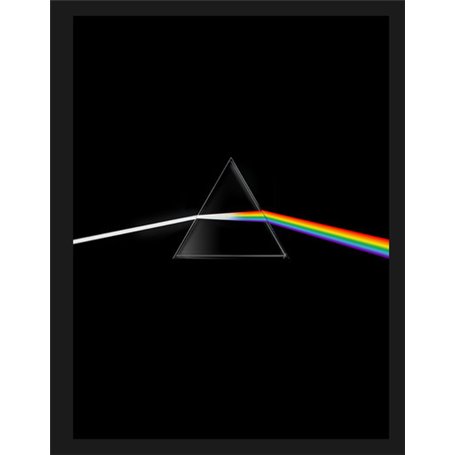 Pink Floyd their mortal remains Le livre officiel