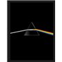 Pink Floyd their mortal remains Le livre officiel