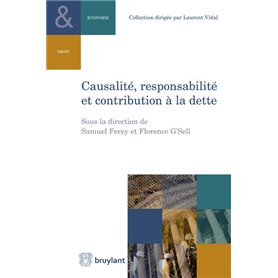 Causalité, responsabilité et contribution à la dette