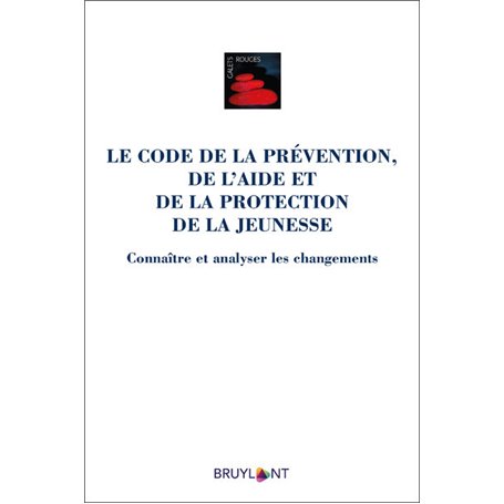 Le Code de la prévention, de l'aide et de la protection de la jeunesse