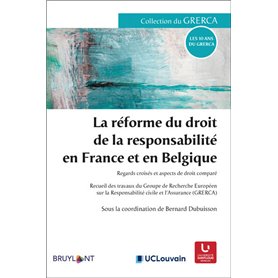 La réforme du droit de la responsabilité en France et en Belgique