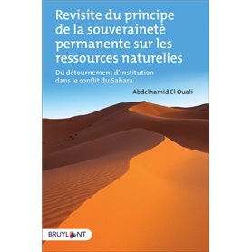 Revisite du principe de la souveraineté permanente sur les ressources naturelles