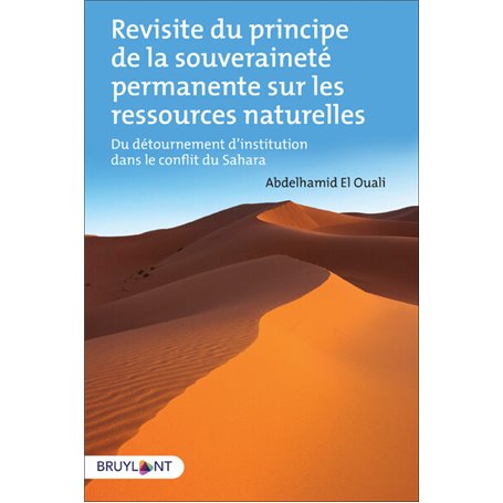 Revisite du principe de la souveraineté permanente sur les ressources naturelles