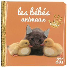 Bébé touche-à-tout - Les bébés animaux - tome 37