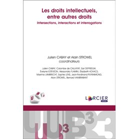 Les droits intellectuels, entre autres droits: intersections, interactions et interrogations