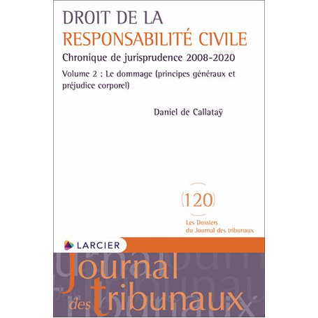 Droit de la responsabilité civile - Chronique de jurisprudence 2008-2020 Volume 2 : Le dommage (