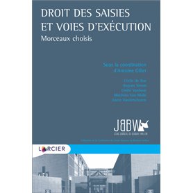 Droit des saisies et voies d exécution