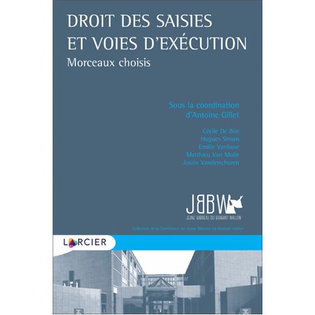 Droit des saisies et voies d exécution