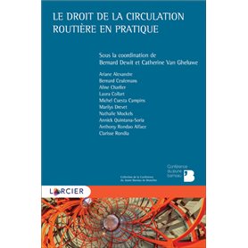 Le droit de la circulation routière en pratique