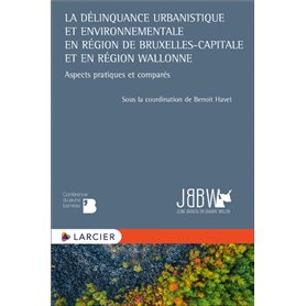 La délinquance urbanistique et environnementale en Région de Bruxelles-Capitale et en Région wallonn