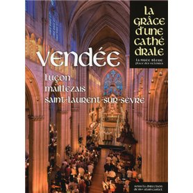 Vendée - Luçon, Maillezais, Saint-Laurent-sur-Sèvre - La grâce d'une cathédrale