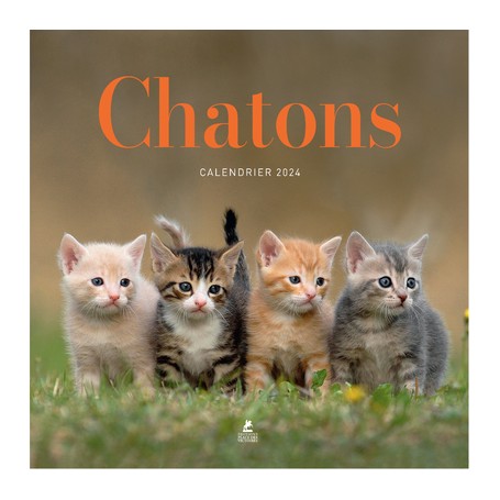 CALENDRIER CHATONS 2024