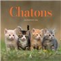 CALENDRIER CHATONS 2024