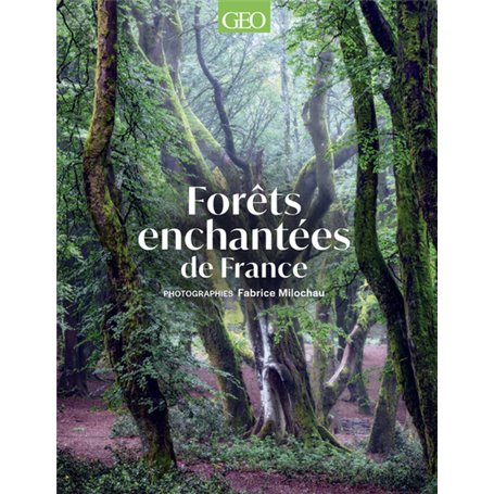 Forêts enchantées de France