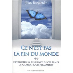 Ce n'est pas la fin du monde - Développer sa résilience en ces temps de grands bouleversements