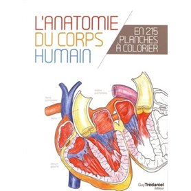 L'anatomie du corps humain en 25 planches à colorier