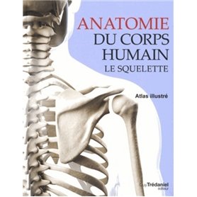 Anatomie du corps humain - Le squelette