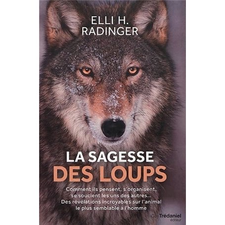 La sagesse des loups