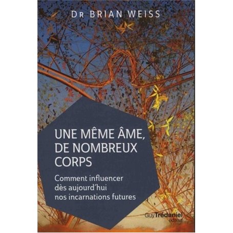 Une même âme de nombreux corps - Comment influencer dès aujourd'hui nos incarnations futures