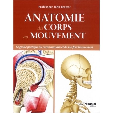 Anatomie du corps en mouvement