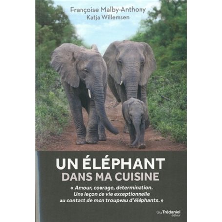 Un éléphant dans ma cuisine