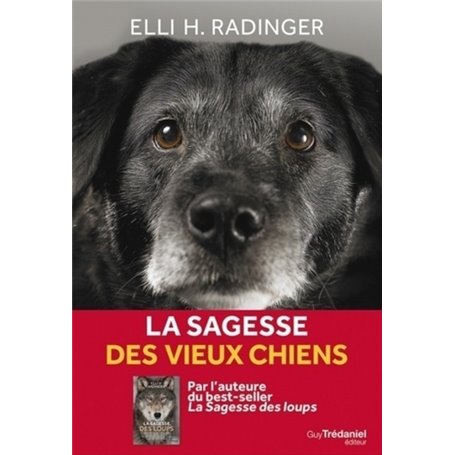 La sagesse des vieux chiens