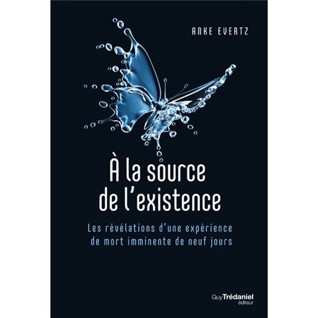 A la source de l'existence - Les révélations d'une expérience de mort imminente de neuf jours