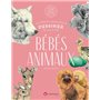 Bébés animaux - 30 espèces menacées à dessiner en pas-à-pas