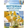 Rotterdam Delft et La Haye En quelques jours 1ed