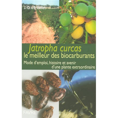Jatropha Curcas le meilleur des biocarburants mode d'emploi histoire & avenir plante extraordinaire