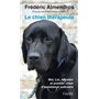 Le chien thérapeute - Moi, Lol, labrador et premier chien d'assistance judiciaire