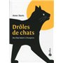 Drôles de chats